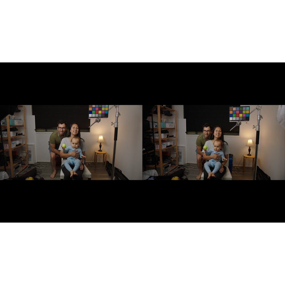🎥 PHANTOM LUTs – Canon C - Log2 / C - Log3 to ARRI Film Look Color Grading Presets 🎬 - MICHIGO STUDIO