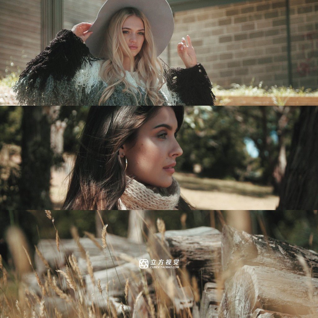 🎥 PHANTOM LUTs – Canon C - Log2 / C - Log3 to ARRI Film Look Color Grading Presets 🎬 - MICHIGO STUDIO