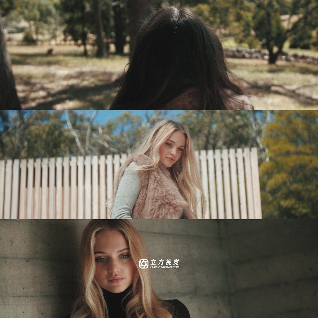 🎨 PHANTOM LUTs Pack | ARRI Film Look for Panasonic Lumix G4 Camera, Cinematic Presets - MICHIGO STUDIO