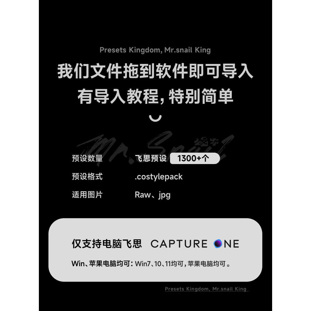 📸 PhaseOne Preset Capture One - Lightroom Preset (C1, Japanese, Wedding, Fujifilm, Landscape) - MICHIGO STUDIO