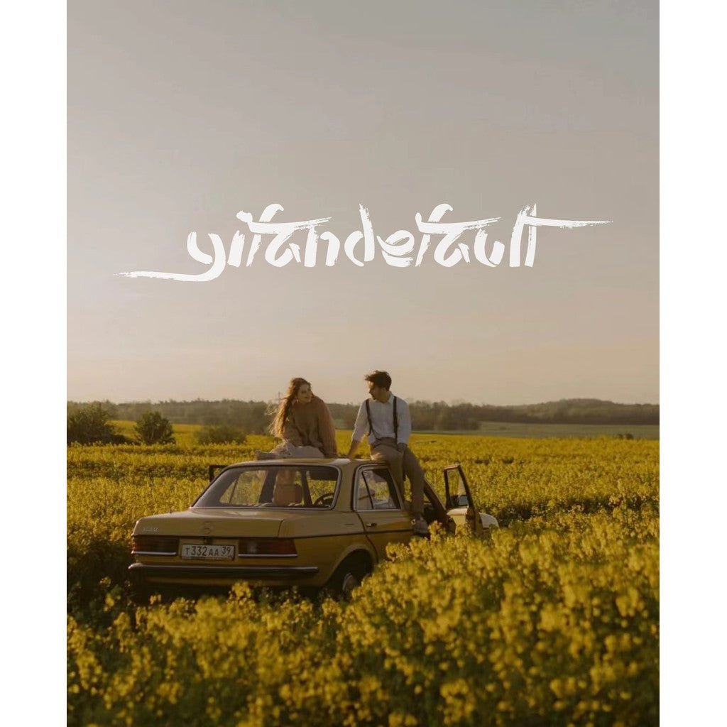 🍰 Pixel Cake Presets – Fashion & Travel Blogger LUTs 🎨 12 Aesthetic Filters for LR / PS / PR / CapCut - MICHIGO STUDIO