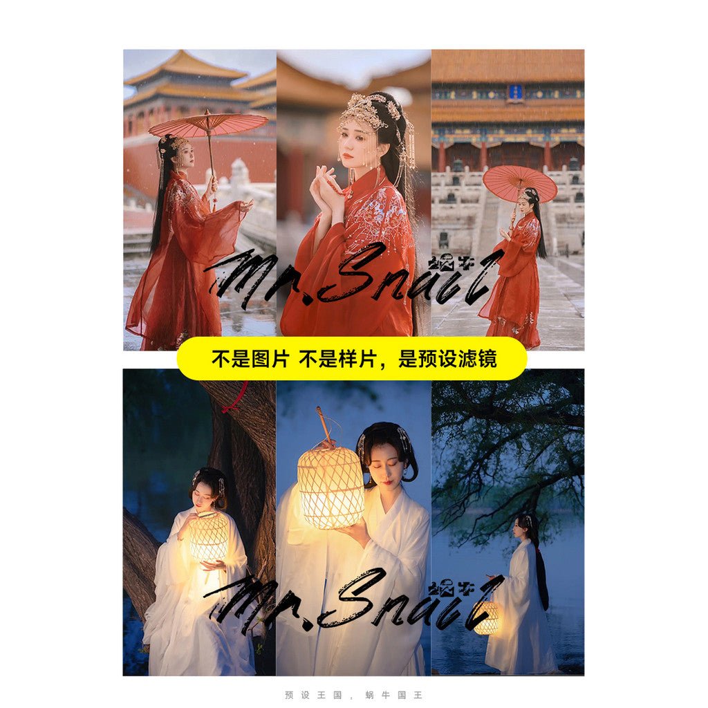 📸 PRESET 627 | Ancient Style - Lightroom Preset (Hanfu, Vintage, PS, Capcut, Portrait, PR - MICHIGO STUDIO