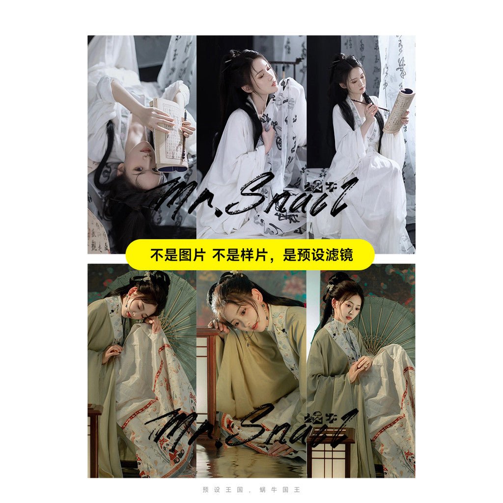 📸 PRESET 627 | Ancient Style - Lightroom Preset (Hanfu, Vintage, PS, Capcut, Portrait, PR) - MICHIGO STUDIO