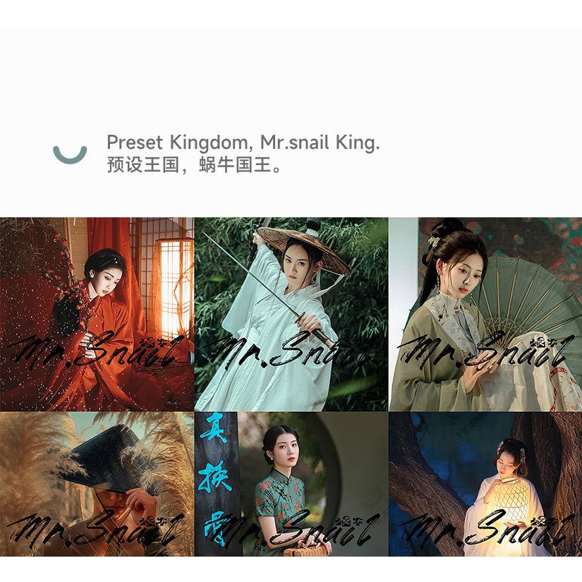 📸 PRESET 627 | Ancient Style - Lightroom Preset (Hanfu, Vintage, PS, Capcut, Portrait, PR - MICHIGO STUDIO