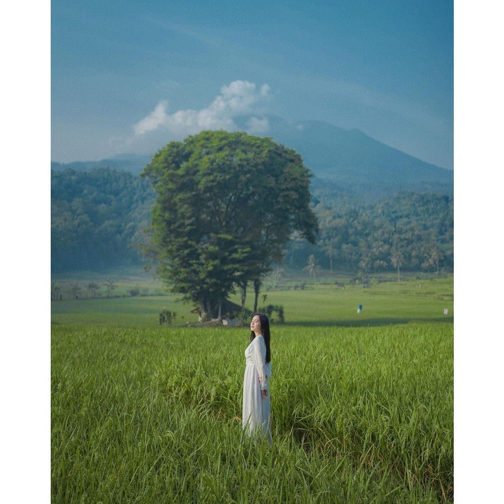 Preset Feeds Premium Bundle 200+ DNG Lightroom[ MICHIGO STUDIO ] - MICHIGO STUDIO
