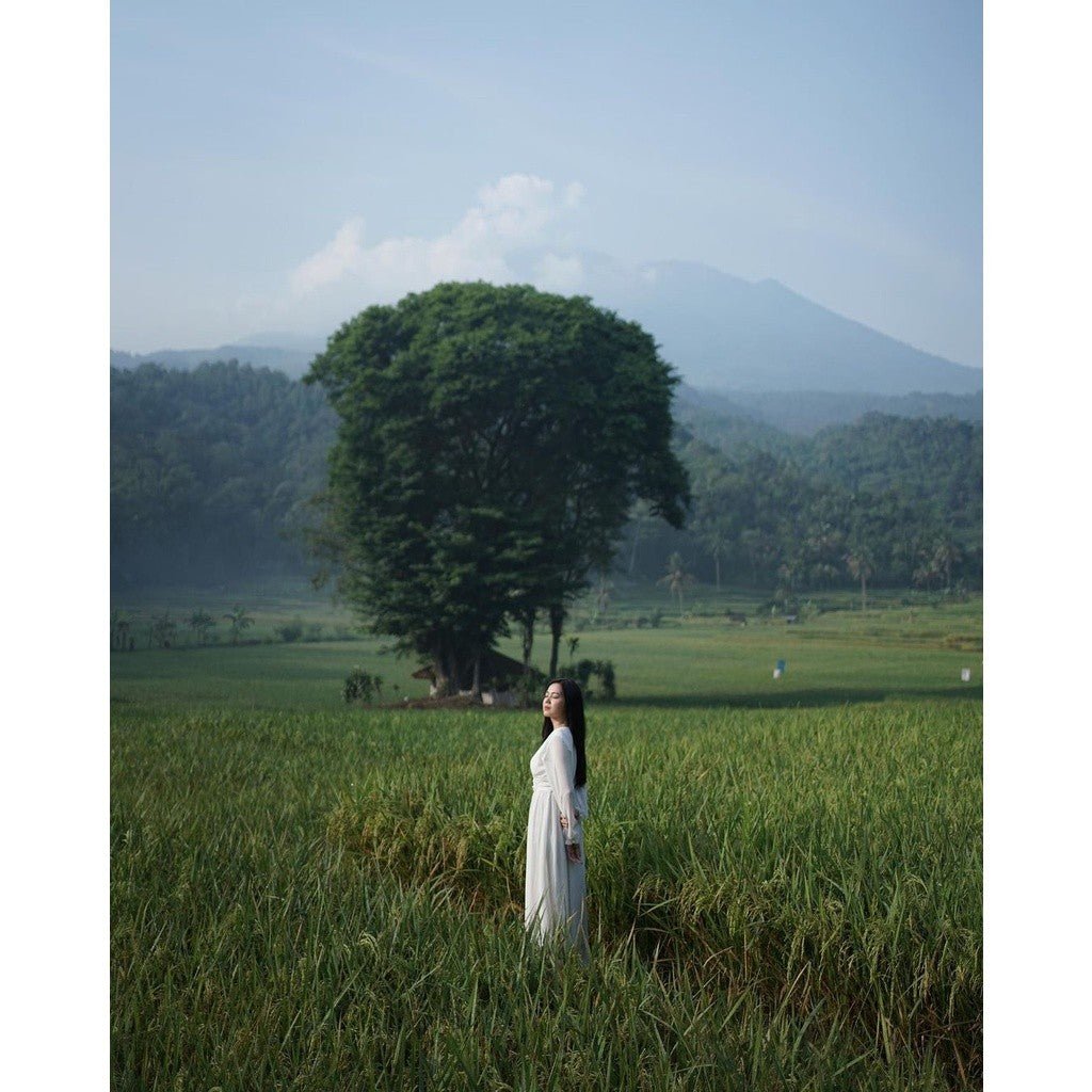Preset Feeds Premium Bundle 200+ DNG Lightroom[ MICHIGO STUDIO ] - MICHIGO STUDIO