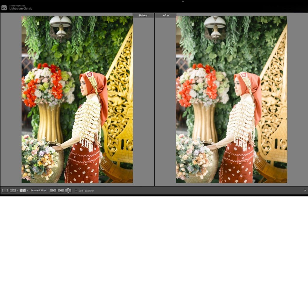 PRESET FINE ART SCLUPVISUAL LIGHTROOM PHOTOSHOP BEST SELLER[ MICHIGO STUDIO ] - MICHIGO STUDIO