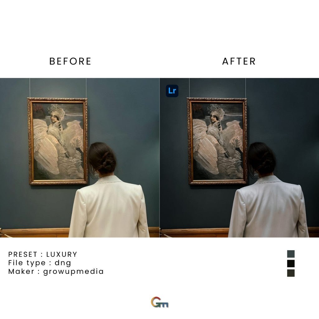 PRESET LIGHTROOM LUXURY UNTUK IOS & ANDROID[ MICHIGO STUDIO ] - MICHIGO STUDIO