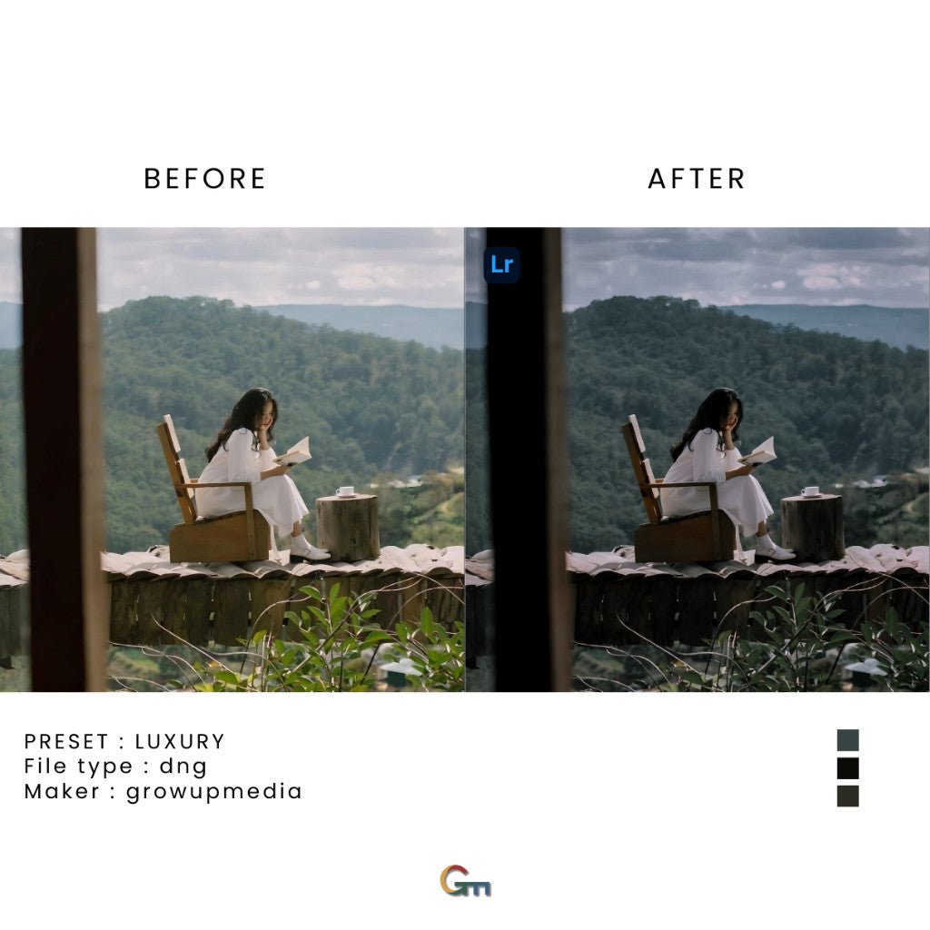 PRESET LIGHTROOM LUXURY UNTUK IOS & ANDROID[ MICHIGO STUDIO ] - MICHIGO STUDIO