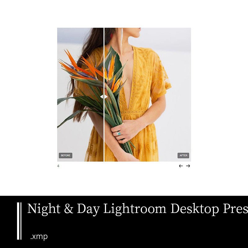 PRESET LR | 📷 Mastin Studio Lightroom Presets – Cinematic Day & Night Photography Filters - MICHIGO STUDIO
