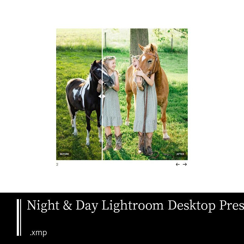 PRESET LR | 📷 Mastin Studio Lightroom Presets – Cinematic Day & Night Photography Filters - MICHIGO STUDIO