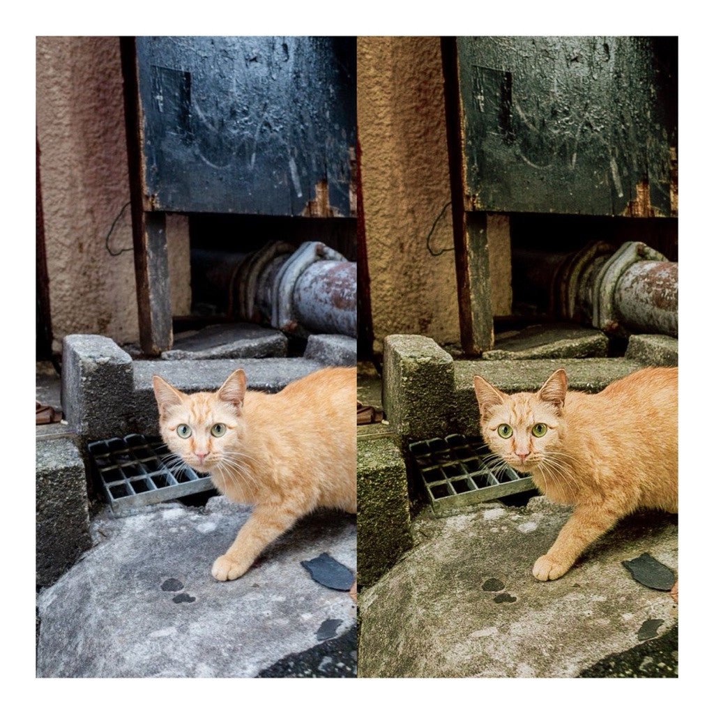 🎨 Preset Lr – Ricoh Lightroom Presets | Ricoh GR Preset Pack for iOS, Android & Desktop ✨ [ MICHIGO STUDIO ] - MICHIGO STUDIO