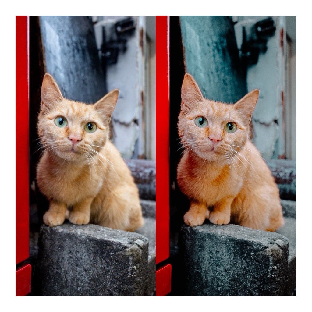🎨 Preset Lr – Ricoh Lightroom Presets | Ricoh GR Preset Pack for iOS, Android & Desktop ✨ [ MICHIGO STUDIO ] - MICHIGO STUDIO
