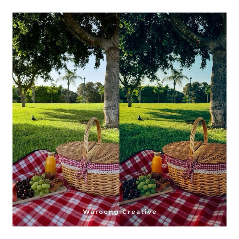 Presets Lightroom Cinematic | Preset Cinematic Green | Lightroom Untuk iOS Android dan Desktop[ MICHIGO STUDIO ] - MICHIGO STUDIO