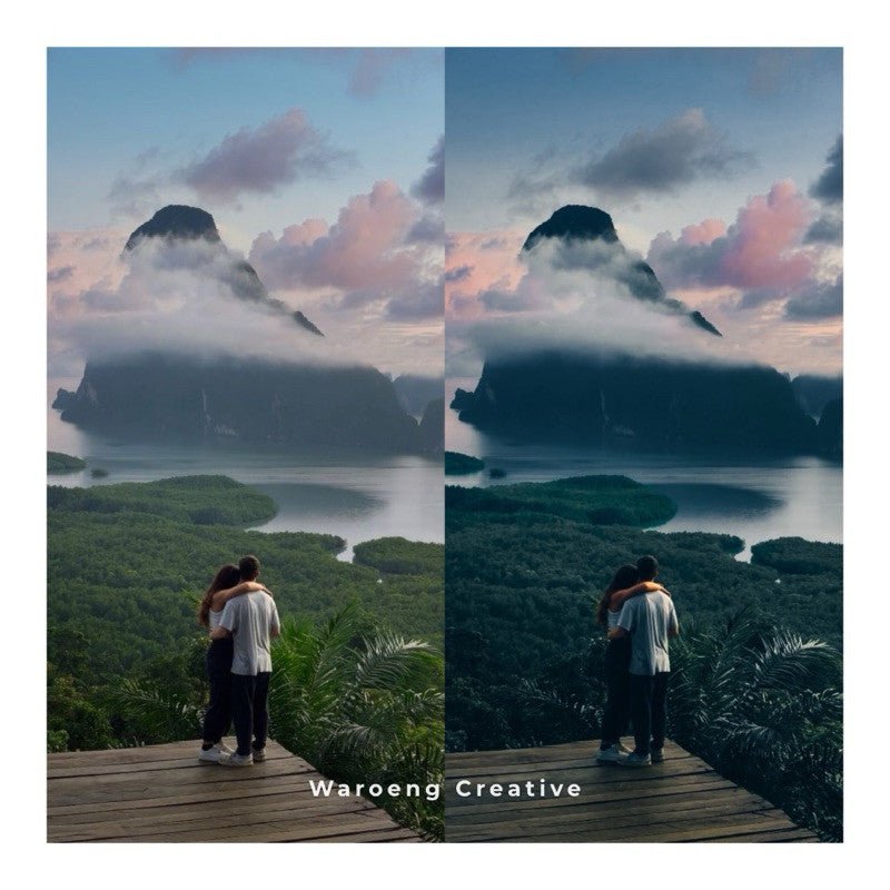 Presets Lightroom Moody Dark | Preset Mossy | Lightroom Untuk iOS Android dan Desktop[ MICHIGO STUDIO ] - MICHIGO STUDIO