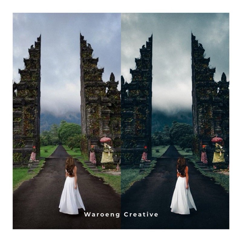 Presets Lightroom Moody Dark | Preset Mossy | Lightroom Untuk iOS Android dan Desktop[ MICHIGO STUDIO ] - MICHIGO STUDIO