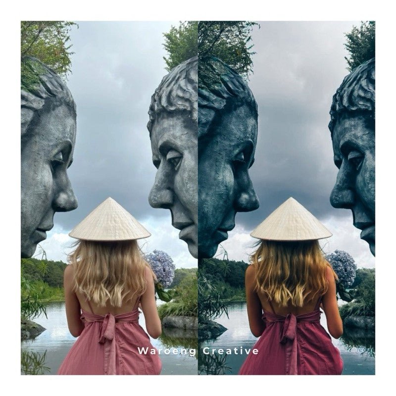 Presets Lightroom Moody Dark | Preset Mossy | Lightroom Untuk iOS Android dan Desktop[ MICHIGO STUDIO ] - MICHIGO STUDIO