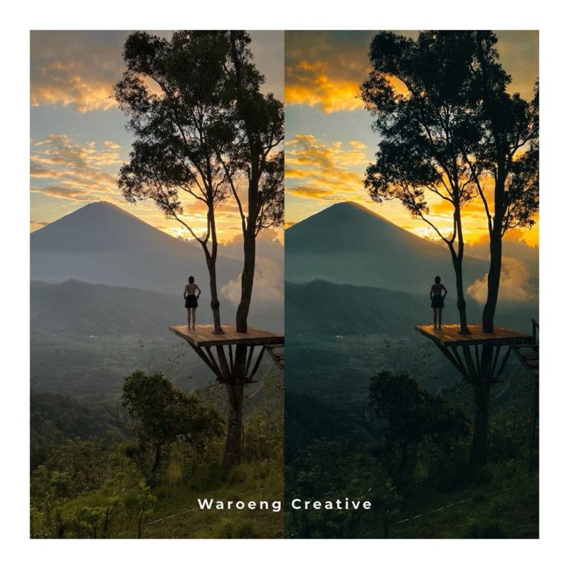 Presets Lightroom Moody Dark | Preset Mossy | Lightroom Untuk iOS Android dan Desktop[ MICHIGO STUDIO ] - MICHIGO STUDIO