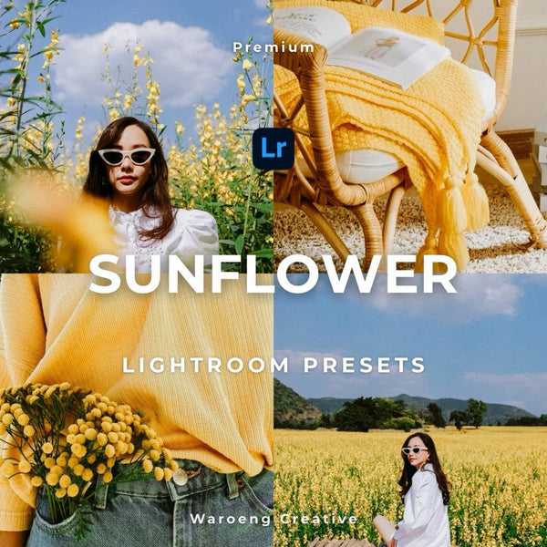 Presets Lightroom Sunflower | Preset Sunflower | Lightroom Untuk iOS Android dan Desktop