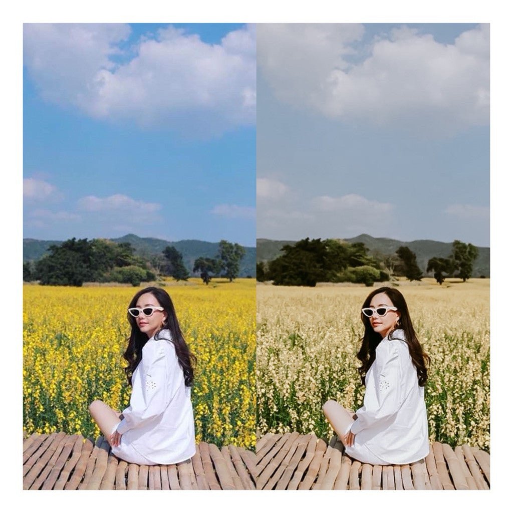 Presets Lightroom Sunflower | Preset Sunflower | Lightroom Untuk iOS Android dan Desktop[ MICHIGO STUDIO ] - MICHIGO STUDIO
