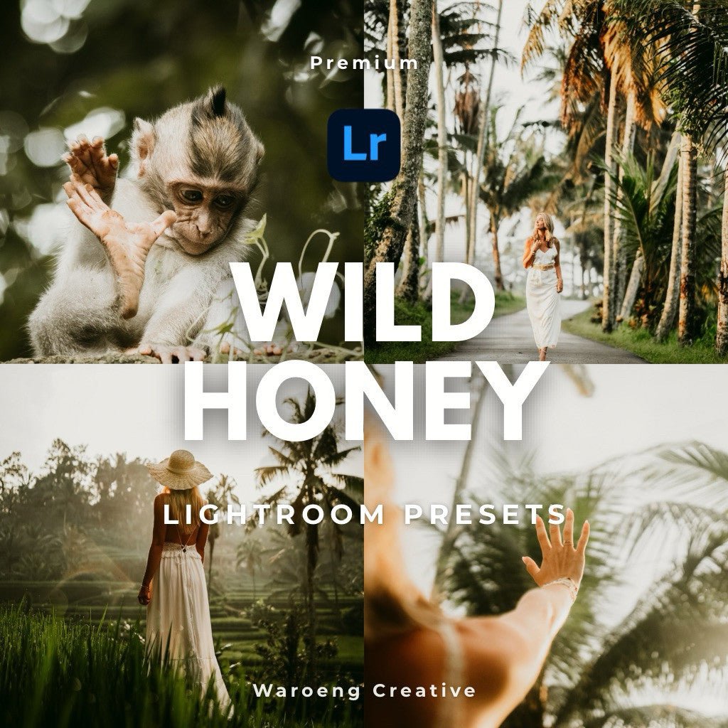 Presets Lightroom Wild Honey | Preset Wild Honey | Lightroom Untuk iOS Android dan Desktop[ MICHIGO STUDIO ] - MICHIGO STUDIO