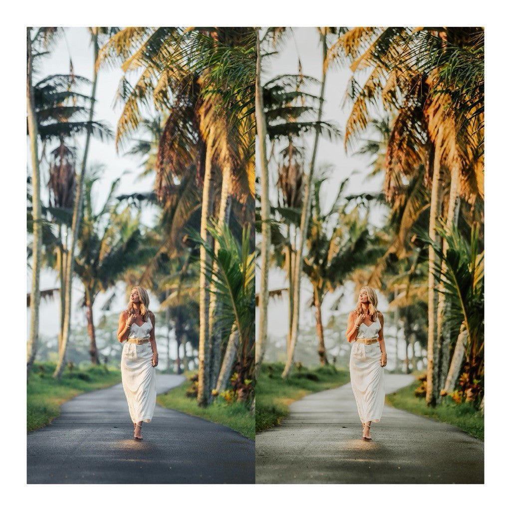 Presets Lightroom Wild Honey | Preset Wild Honey | Lightroom Untuk iOS Android dan Desktop[ MICHIGO STUDIO ] - MICHIGO STUDIO