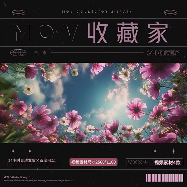 🌸 VISUAL | Livehouse Romantic Sunset – Petals, Sky & Clouds Pink LED Loop VJ Video