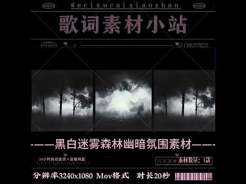Premium Dark Mist Forest Assets: B&W Smoke Effects & Grayscale Mysterious Woodland Scenery | Cinematic Atmospheric Backgrounds for Live House & Video Editors 🌫️🌲🌑 FX