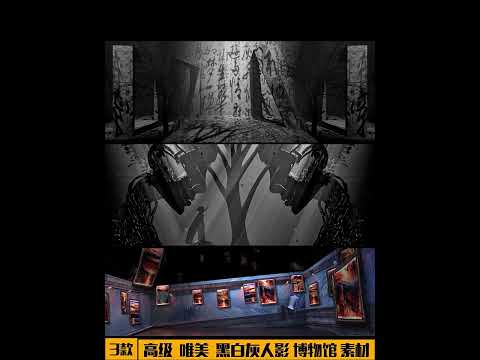 Premium Black, White & Grey Silhouette Museum: Artistic Picture Frame Visuals. High-End Livehouse Background, Gallery Aesthetic & Minimalist VJ Loop Asset. 🖼️👤🖤🌫️🏛️