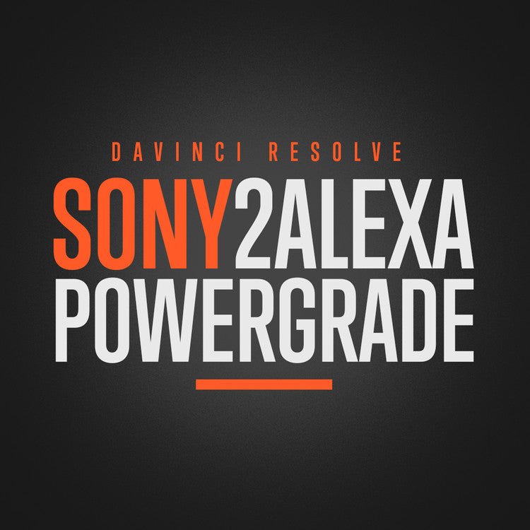 🎞️ RCM Sony to Alexa Color Transform – DaVinci PowerGrade + LUTs 🎬 Film Look Grading Pack - MICHIGO STUDIO