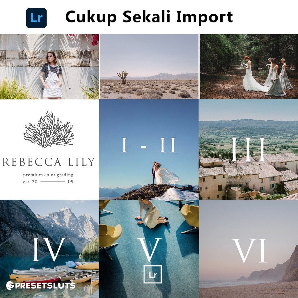 Rebecca Lily Pro Set I - VI + Tools Lightroom Preset Pack Bundle Mobile Desktop IOS Android[ MICHIGO STUDIO ] - MICHIGO STUDIO
