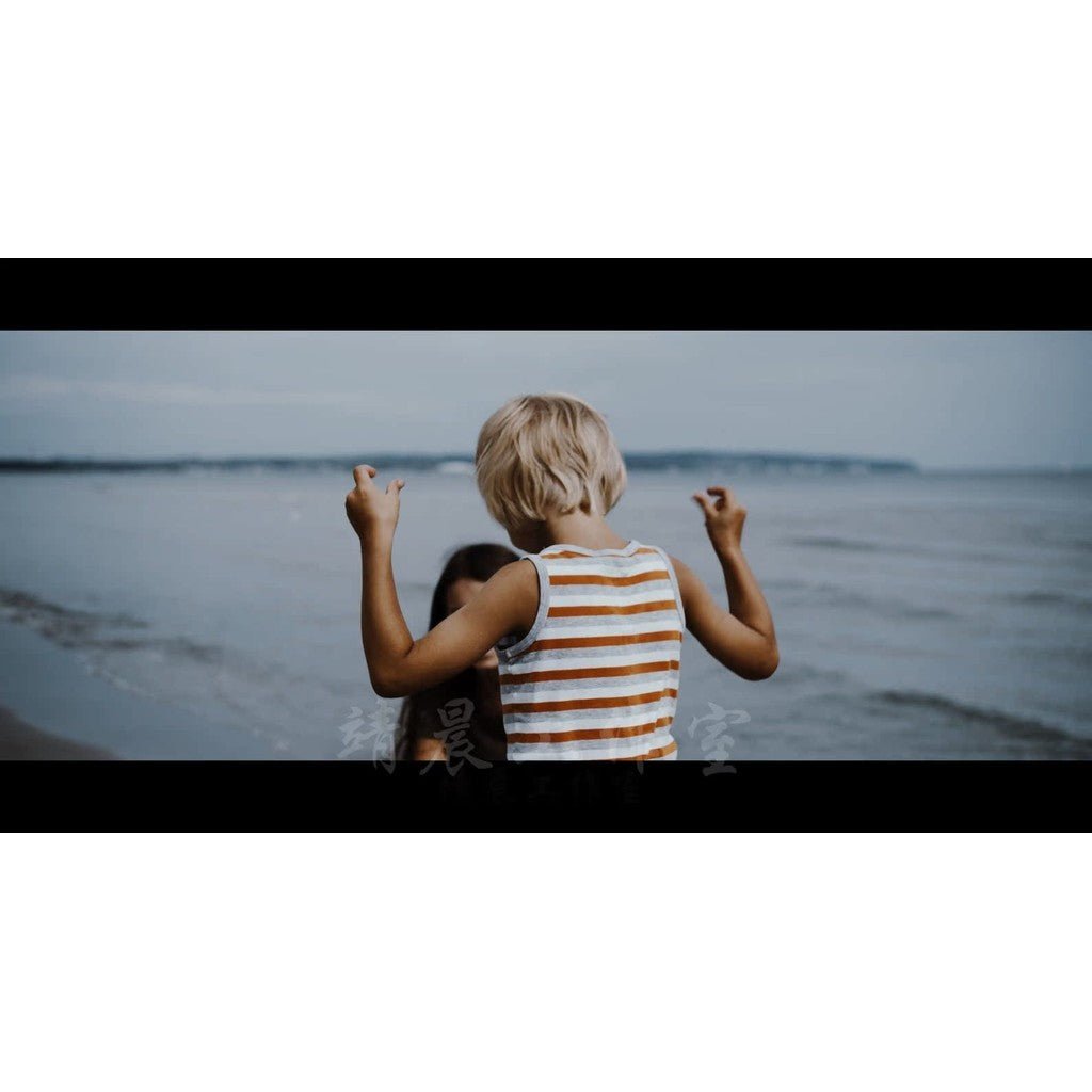 🎬 Roman Hense – “S19” Cinematic LUTs Pack for Video Color Grading 🎥 - MICHIGO STUDIO