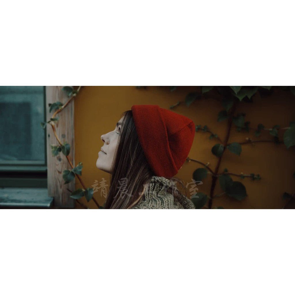 🎬 Roman Hense – “S19” Cinematic LUTs Pack for Video Color Grading 🎥 - MICHIGO STUDIO