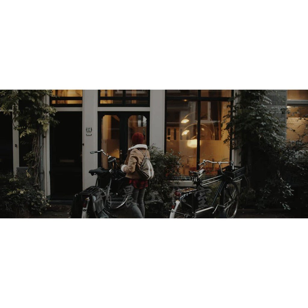 🎬 Roman Hense – “S19” Cinematic LUTs Pack for Video Color Grading 🎥 - MICHIGO STUDIO