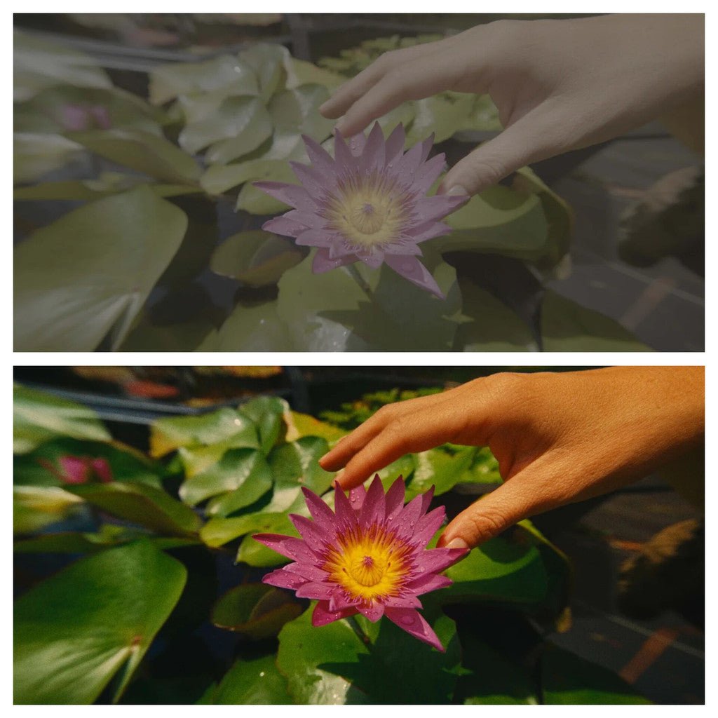🎬 Sam Kolder Filmkid 16 Powergrade & LUT – Cinematic Color Nodes 🎨 - MICHIGO STUDIO