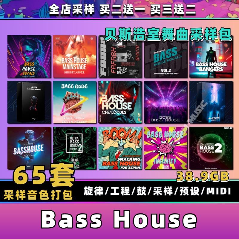 Bass House Timbre Sampling Melody Loops Drum Bag Serum Preset Audio [Michigo Studio]