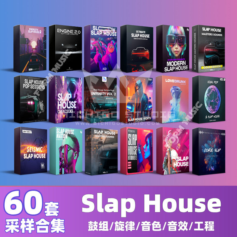 Slap House Sampling Package Electronic Music Source Serum Preset Melody Drum Tone FL Studio Project [Michigo Studio]