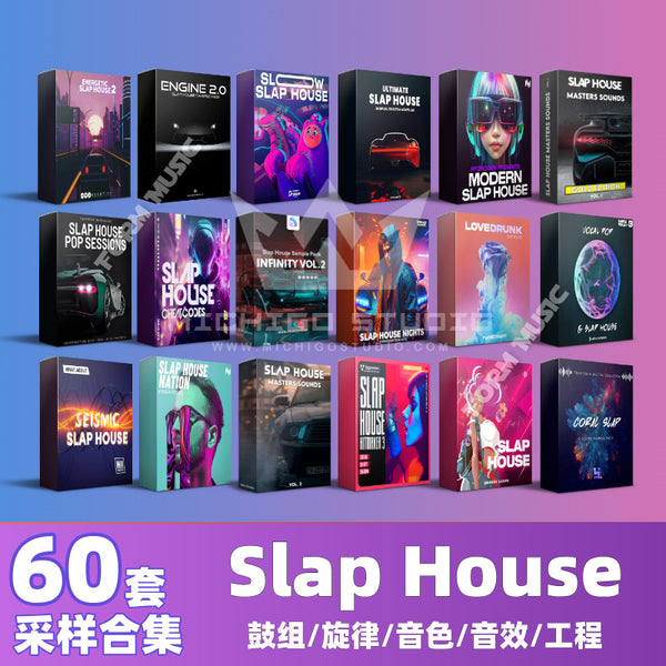 Slap House Sampling Package Electronic Music Source Serum Preset Melody Drum Tone FL Studio Project [Michigo Studio]
