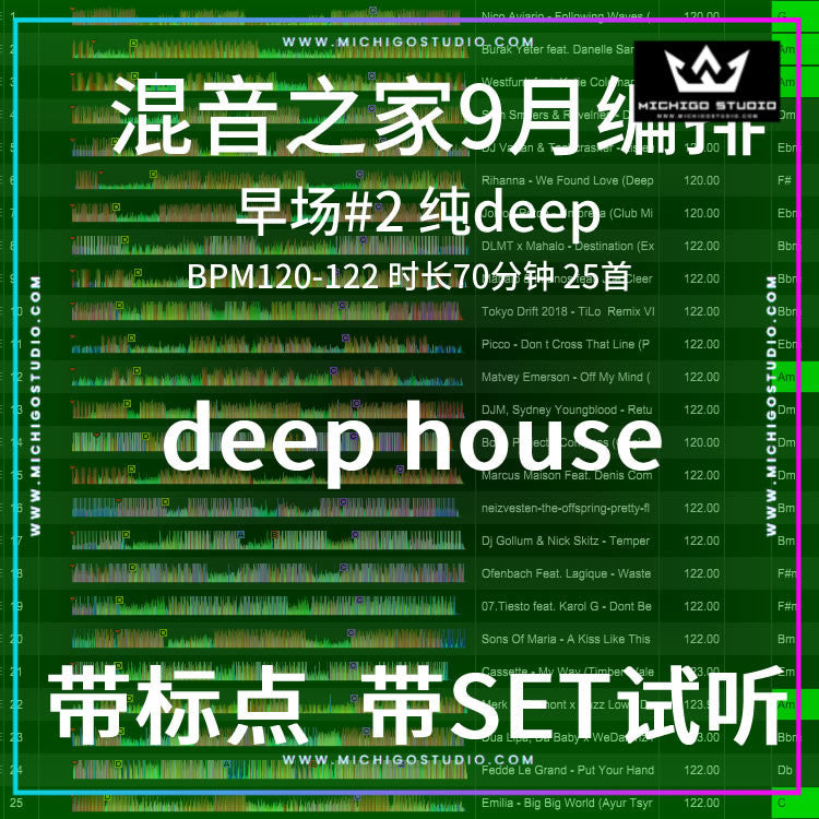 Deep House DJ Set 💫 Lounge Style | 70min Mix [MICHIGO STUDIO]