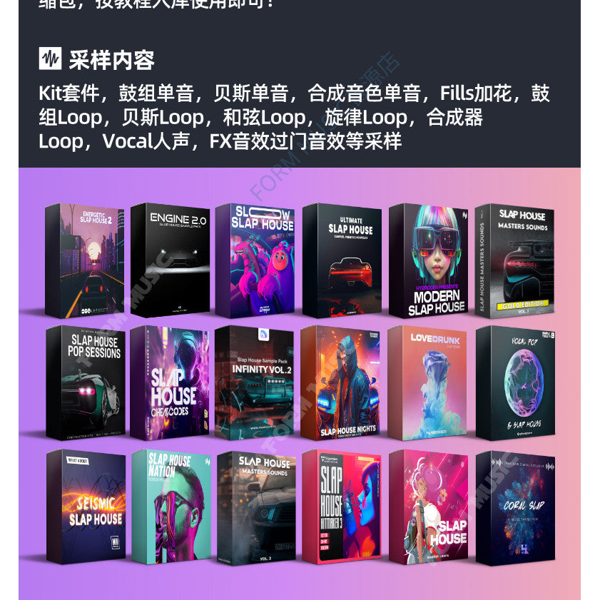 Slap House Sampling Package Electronic Music Source Serum Preset Melody Drum Tone FL Studio Project [Michigo Studio]