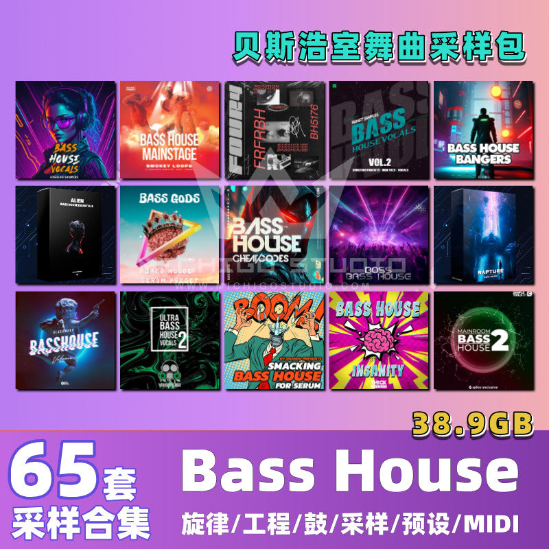 Bass House Timbre Sampling Melody Loops Drum Bag Serum Preset Audio [Michigo Studio]