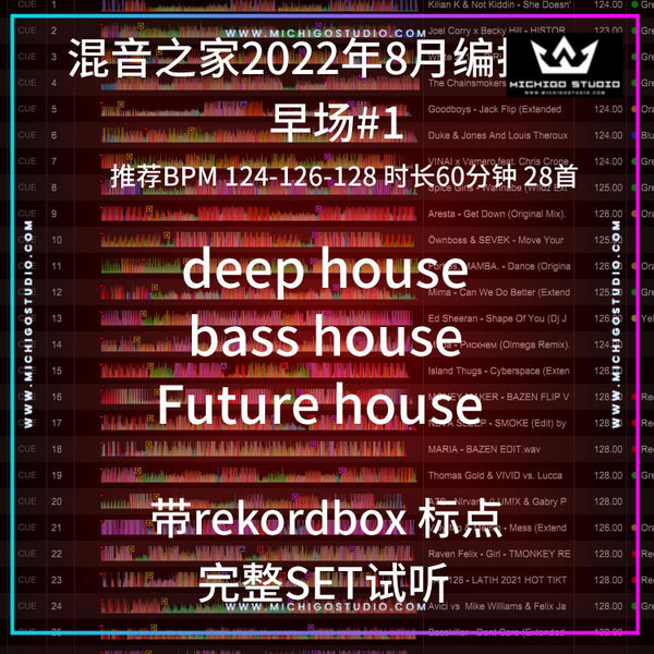 Mix House DJ Set 🎶 Deep/Bass/Future [MICHIGO STUDIO]