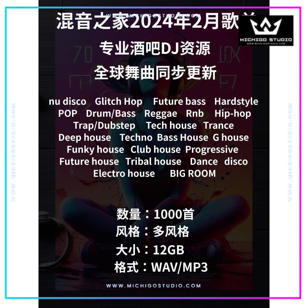 February 2024 DJ Playlist 📀 1000 Updated Tracks [MICHIGO STUDIO]