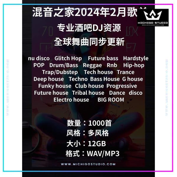 February 2024 DJ Playlist 📀 1000 Updated Tracks [MICHIGO STUDIO]