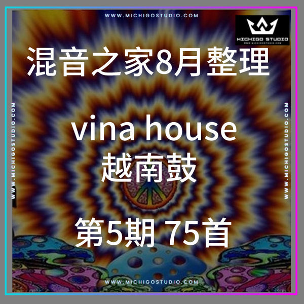 Vina House DJ Set Pack 🇻🇳🔥 Vietnam Club Music Playlist | Chinese Vocal Edits | TikTok Style Mixes [MICHIGO STUDIO]