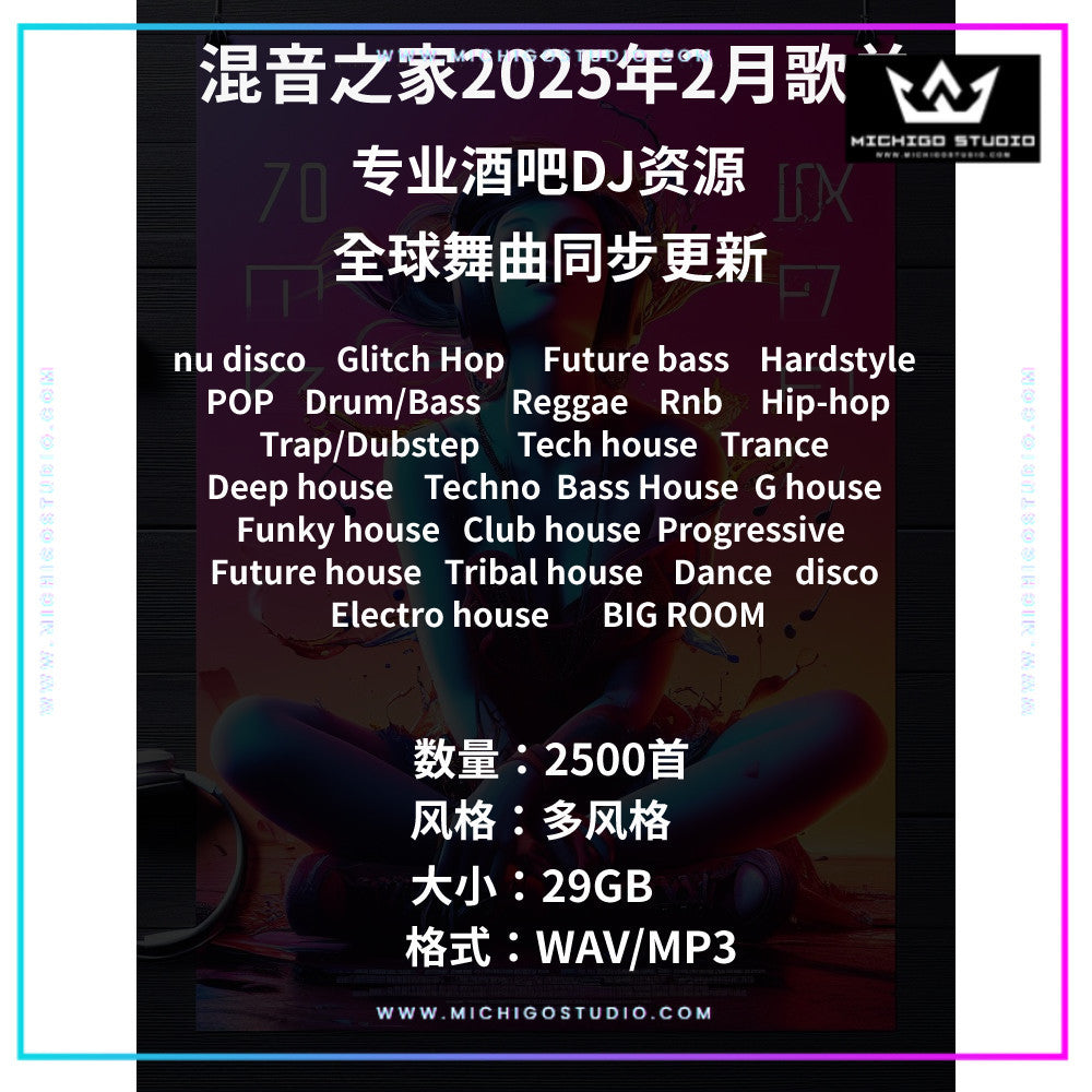 February 2025 DJ Playlist 📀 2500 Tracks | Global Multi-Genre [MICHIGO STUDIO]
