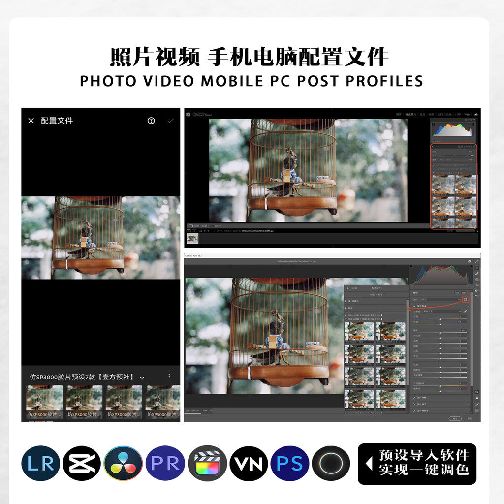 📸 LR Kodak 2383 Style – Lightroom Preset (3 Types, Pixelcake, PS, PhaseOne, Capcut)
