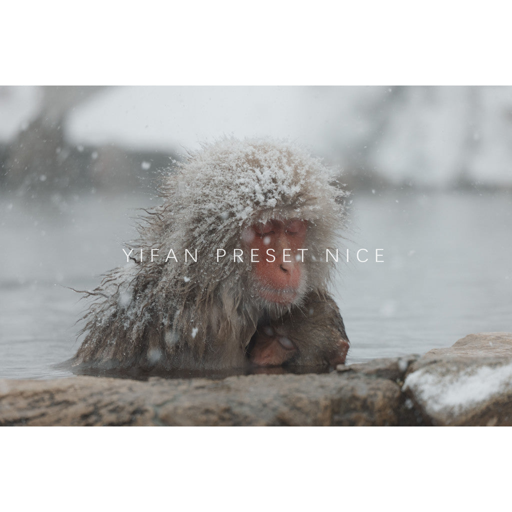📸 LR Preset Simulate Classic Negative – Lightroom Preset (4 Sets, Pixelcake, PS, PhaseOne, Capcut)