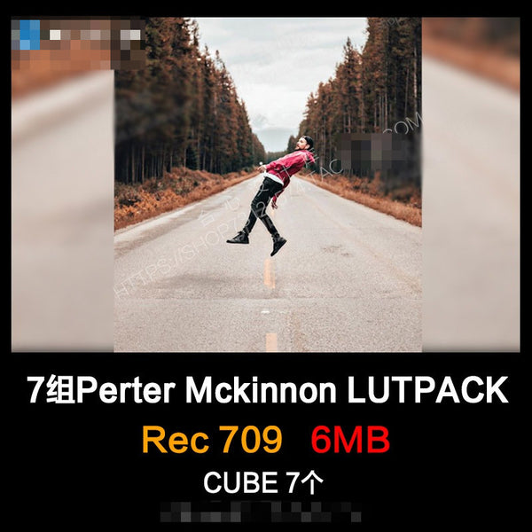 🎬 Peter McKinnon LUT Pack – 7 Travel Vlog Color Grading Presets for PR / FCPX 📸🌍