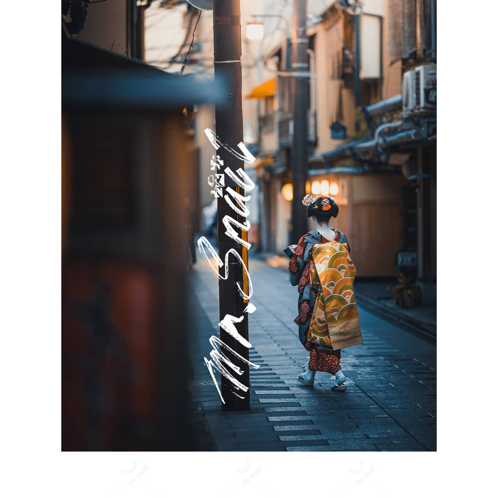📸 Mr.213 Tone Preset - Lightroom Preset (PS, PR, Capcut, FCPX, DaVinci)